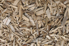 biomass boilers Longparish